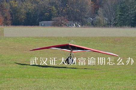 武汉证大财富逾期怎么办