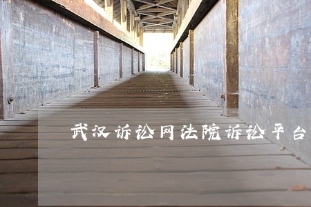 武汉诉讼网法院诉讼平台 武汉诉讼网法院诉讼平台