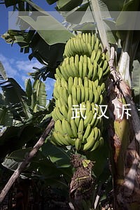 武汉诉讼费退费管理