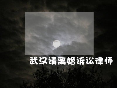 武汉请离婚诉讼律师 武汉请离婚诉讼律师