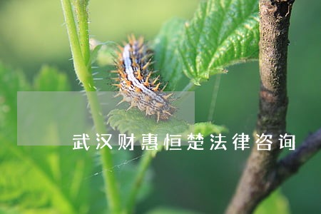 武汉财惠恒楚法律咨询 武汉财惠恒楚法律咨询