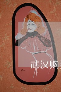 武汉购买合同纠纷律师 武汉购买合同纠纷律师