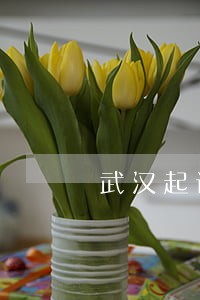 武汉起诉离婚律师费 武汉起诉离婚律师费