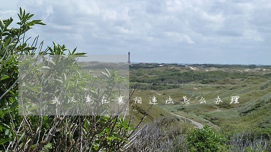武汉车在襄阳违法怎么办理 武汉车在襄阳违法怎么办理