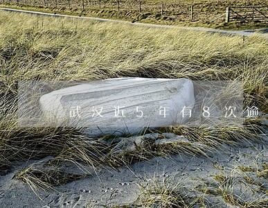武汉近5年有8次逾期影响买房吗 武汉近5年有8次逾期影响买房吗