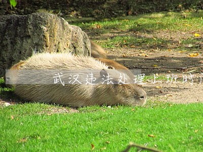 武汉违法处理上班时间 武汉违法处理上班时间