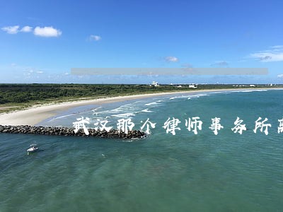 武汉那个律师事务所离婚 武汉那个律师事务所离婚