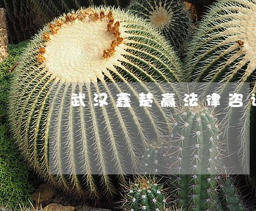 武汉鑫楚赢法律咨询 武汉鑫楚赢法律咨询