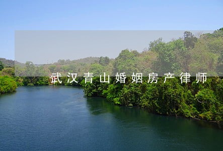 武汉青山婚姻房产律师 武汉青山婚姻房产律师