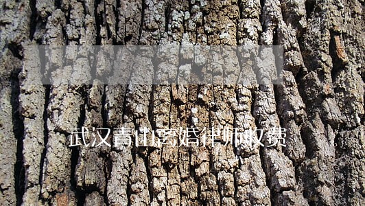 武汉青山离婚律师收费
