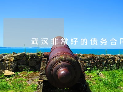 武汉非常好的债务合同律师