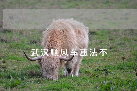 武汉顺风车违法不
