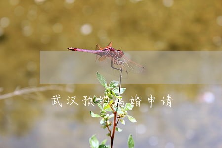 武汉预约离婚申请 武汉预约离婚申请