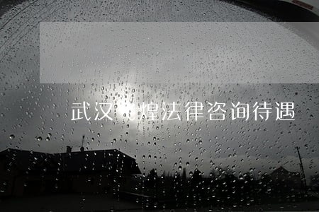 武汉飞煌法律咨询待遇 武汉飞煌法律咨询待遇