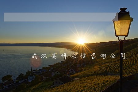 武汉高研法律咨询公司 武汉高研法律咨询公司