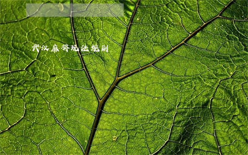 武汉麻将玩法规则 武汉麻将玩法规则