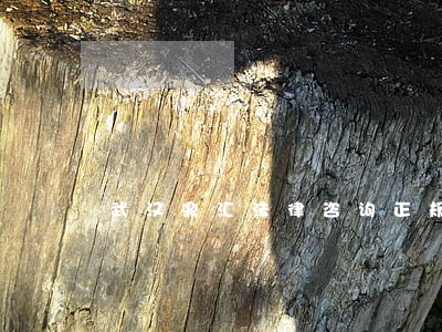 武汉鼎汇法律咨询正规吗 武汉鼎汇法律咨询正规吗