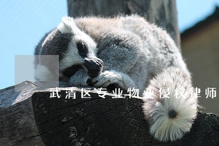 武清区专业物业侵权律师
