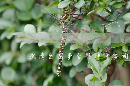 武清区商事合同律师咨询 武清区商事合同律师咨询