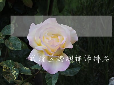 武清区婚姻律师排名 武清区婚姻律师排名