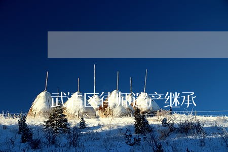 武清区律师遗产继承