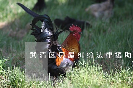 武清区房屋纠纷法律援助 武清区房屋纠纷法律援助