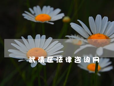 武清区法律咨询网 武清区法律咨询网