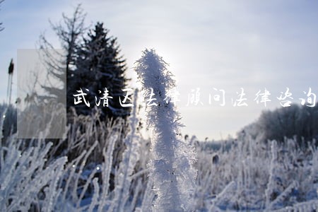 武清区法律顾问法律咨询 武清区法律顾问法律咨询