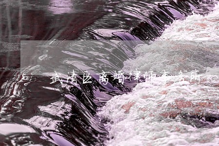 武清区离婚律师事务所