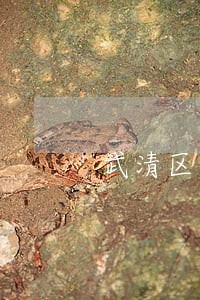 武清区辩护律师法律咨询