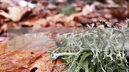 武清区遗嘱继承律师咨询费用 武清区遗嘱继承律师咨询费用
