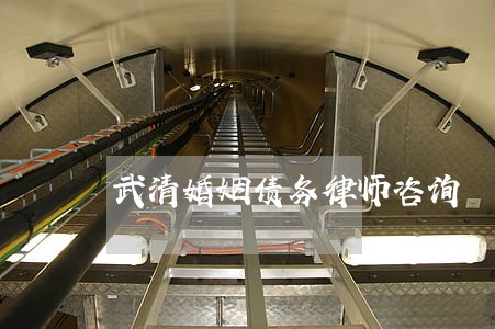 武清婚姻债务律师咨询 武清婚姻债务律师咨询