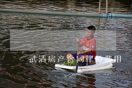 武清房产合同律师费用 武清房产合同律师费用