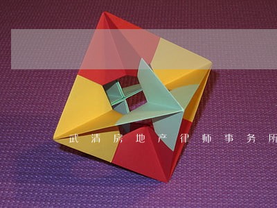 武清房地产律师事务所 武清房地产律师事务所