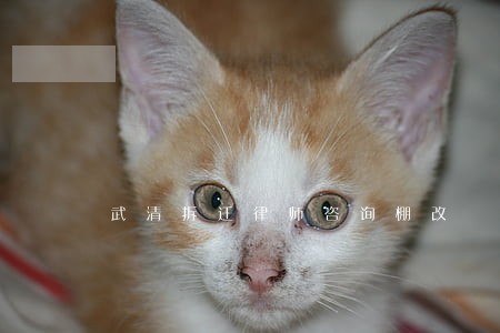 武清拆迁律师咨询棚改 武清拆迁律师咨询棚改