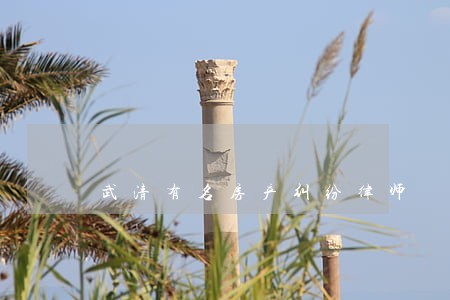 武清有名房产纠纷律师 武清有名房产纠纷律师