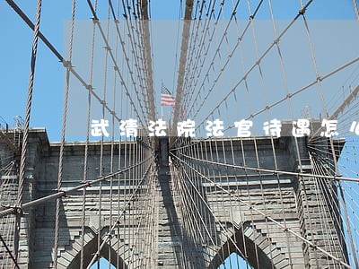 武清法院法官待遇怎么样 武清法院法官待遇怎么样