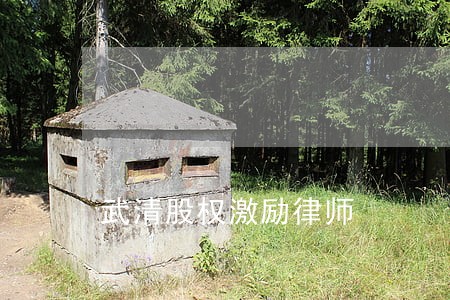 武清股权激励律师 武清股权激励律师
