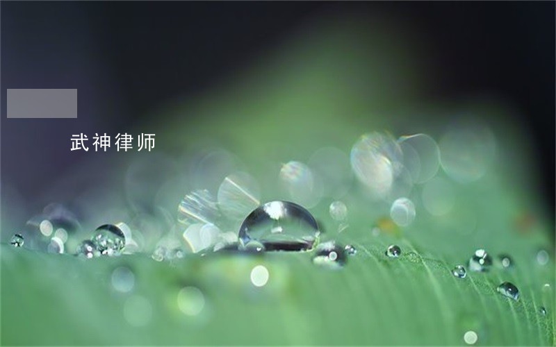 武神律师 武神律师
