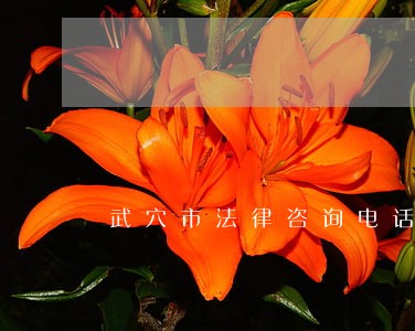 武穴市法律咨询电话 武穴市法律咨询电话