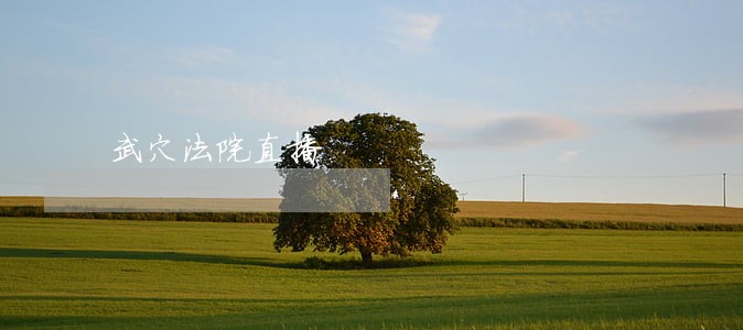 武穴法院直播 武穴法院直播