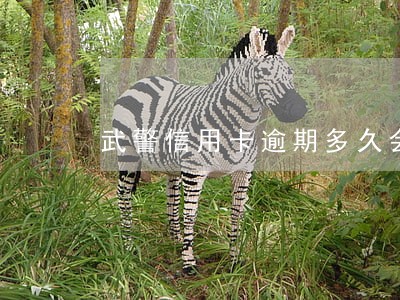 武警信用卡逾期多久会被追