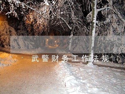 武警财务工作法规 武警财务工作法规