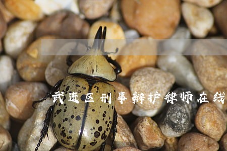 武进区刑事辩护律师在线咨询 武进区刑事辩护律师在线咨询