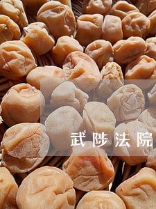 武陟法院李玉辉案