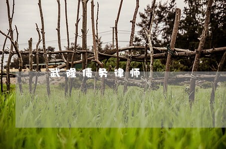 武隆债务律师 武隆债务律师