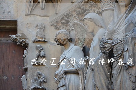 武隆区公司犯罪律师在线免费咨询 武隆区公司犯罪律师在线免费咨询