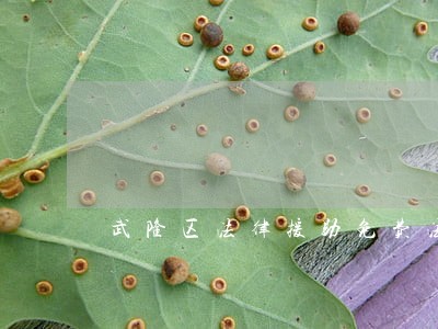 武隆区法律援助免费法律咨询热线 武隆区法律援助免费法律咨询热线