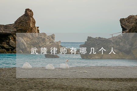武隆律师有哪几个人 武隆律师有哪几个人