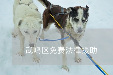 武鸣区免费法律援助 武鸣区免费法律援助